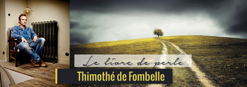 L'histoire de Joshua Perle écrite par Timothée de Fombelle